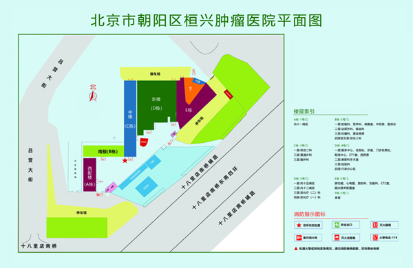 大鸡吧干骚逼北京市朝阳区桓兴肿瘤医院平面图